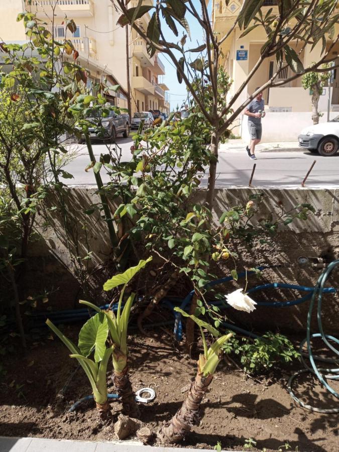 Hrysanthl Apartment Chania  Luaran gambar